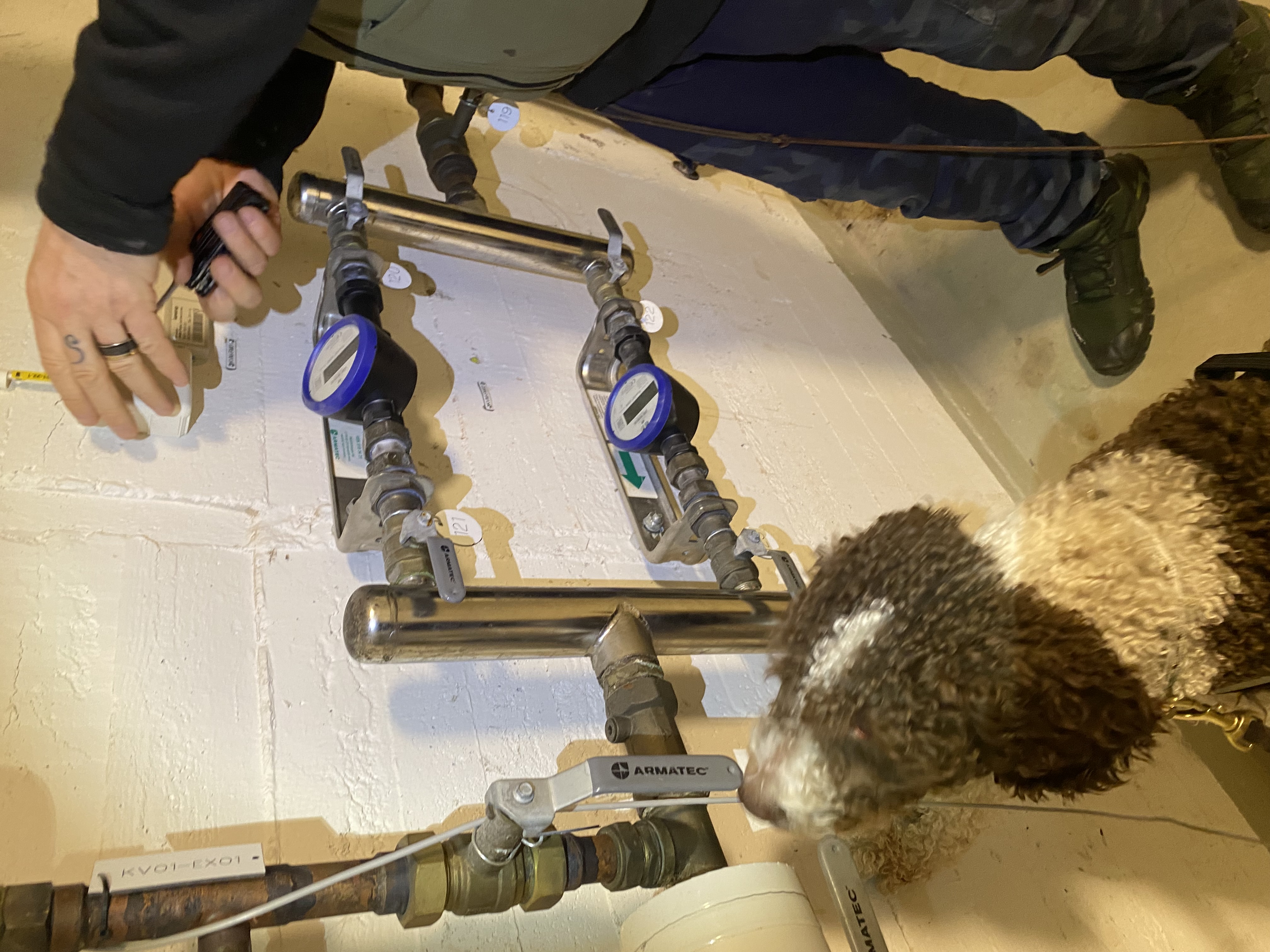 Lilly markerar i källare