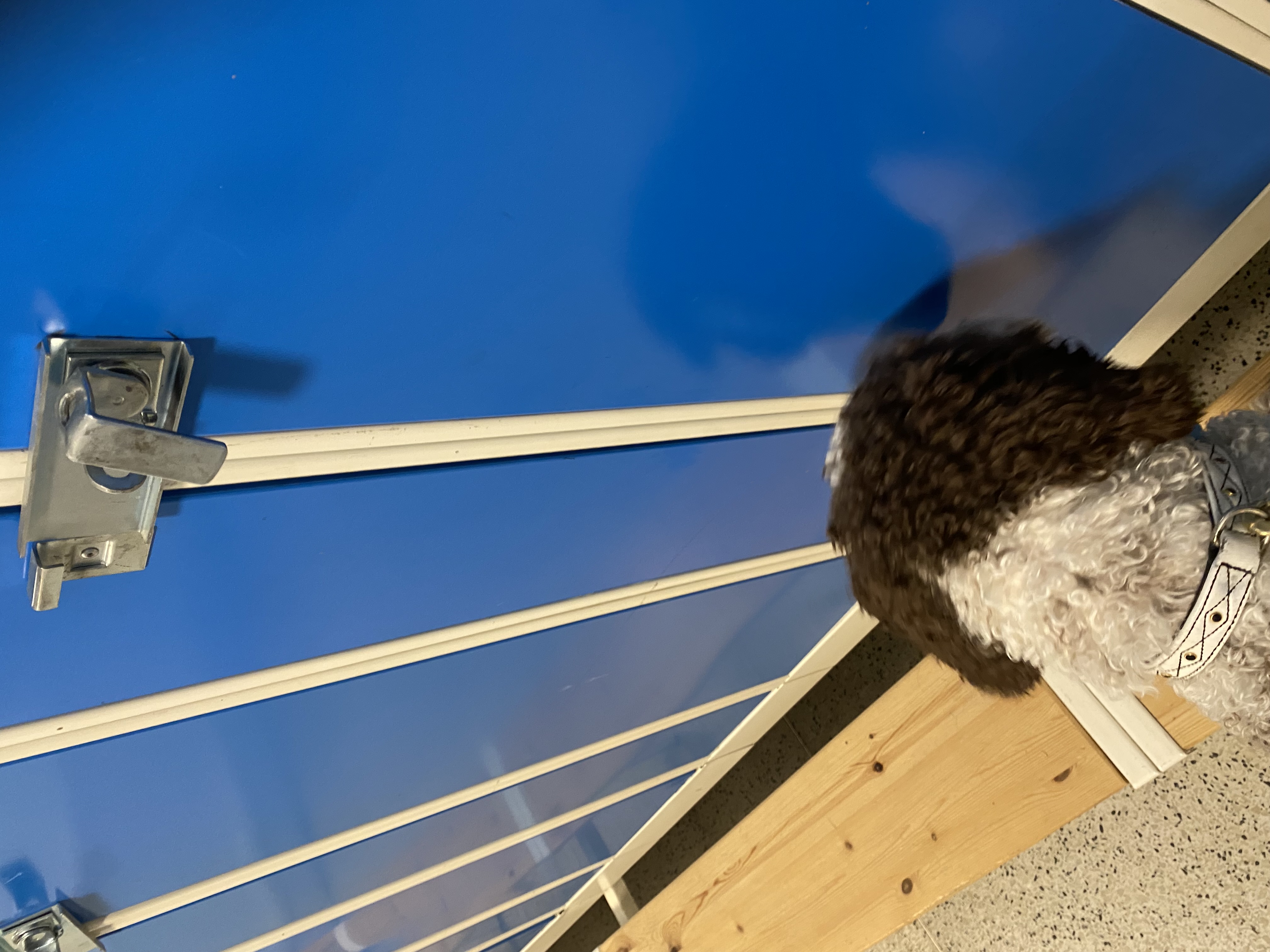 Narkotikasök i lokal